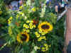 walporz 005.jpg (136763 Byte)